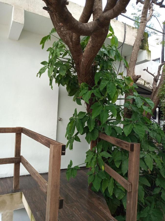 Estudio Zona Centro Cerca De La Terminal Ado Cancún Eksteriør billede