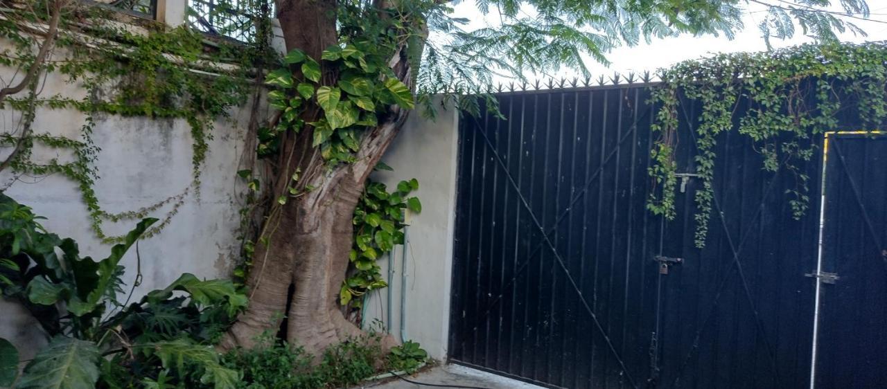 Estudio Zona Centro Cerca De La Terminal Ado Cancún Eksteriør billede